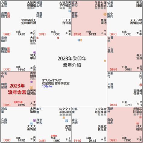 貪狼化忌2023|2023年，癸卯年，紫微斗數流年運勢分析